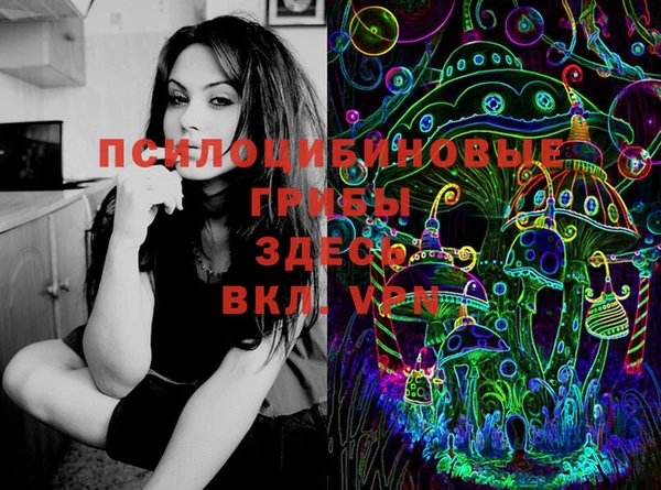 прущие грибы Новый Уренгой