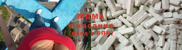 прущие грибы Новый Уренгой