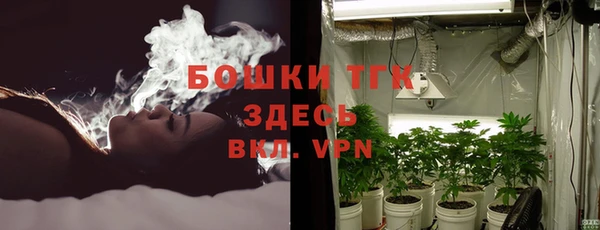 амф Долгопрудный