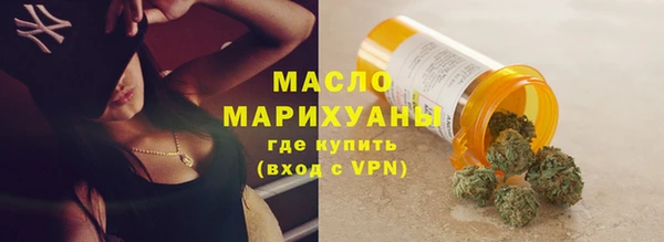 прущие грибы Новый Уренгой