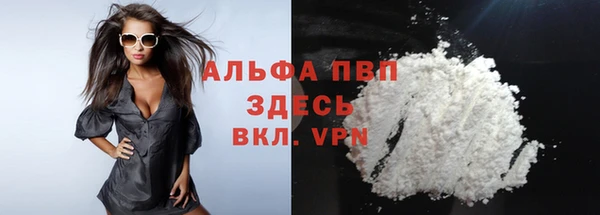 амф Долгопрудный