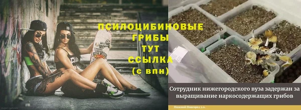бошки Бердск