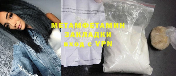 прущие грибы Новый Уренгой
