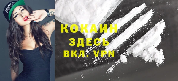 прущие грибы Новый Уренгой