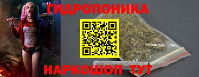 скорость Бийск