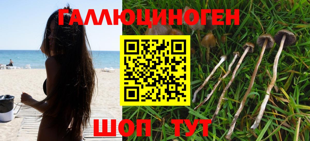 Белебей  Галлюциногенные грибы прущие грибы  Вход с VPN 