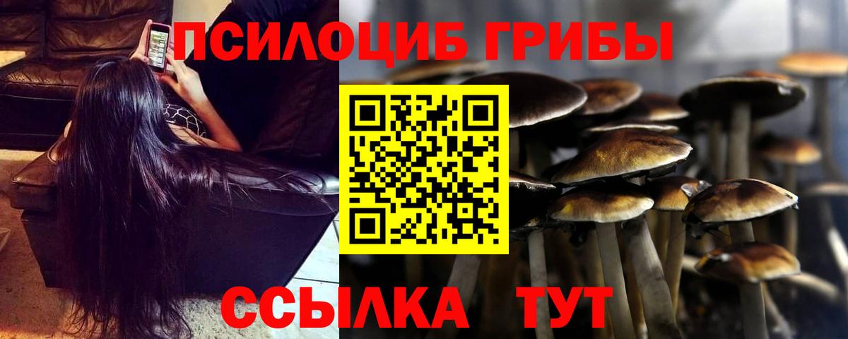 цена наркотик  Псилоцибиновые грибы ЛСД  Белебей  Псилоцибиновые грибы мицелий 